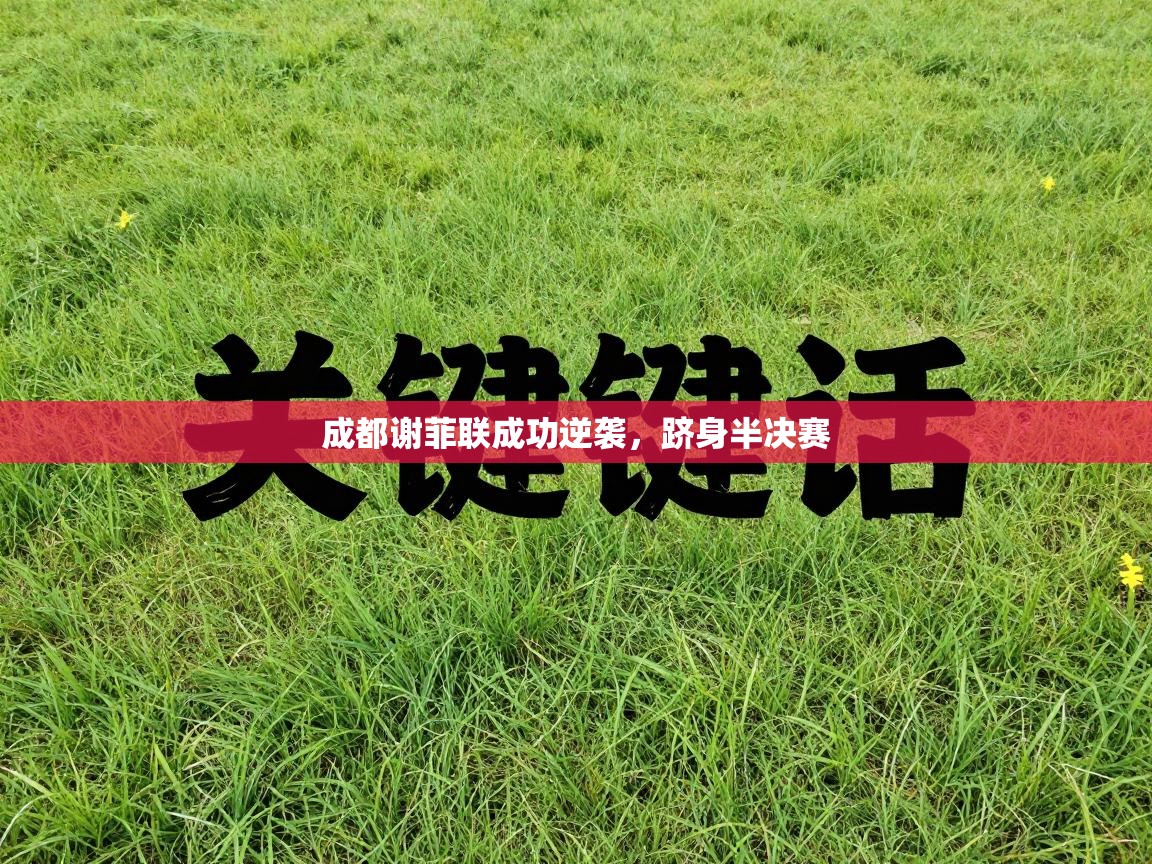 成都谢菲联成功逆袭，跻身半决赛  第2张